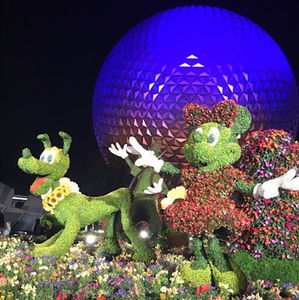 Meet your Posher, Abigail